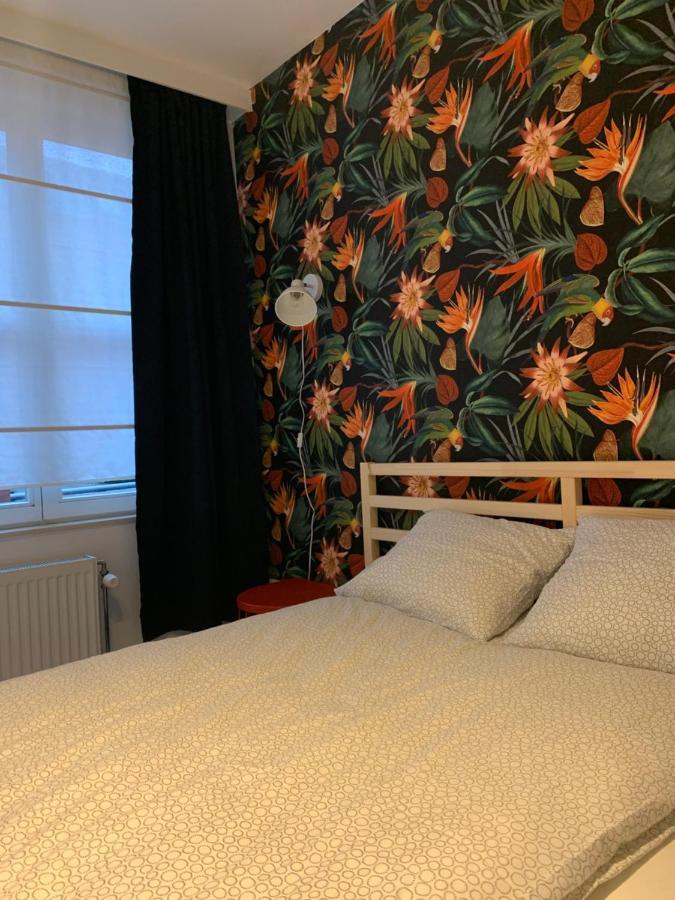 Elma'S Place Γάνδη Εξωτερικό φωτογραφία
